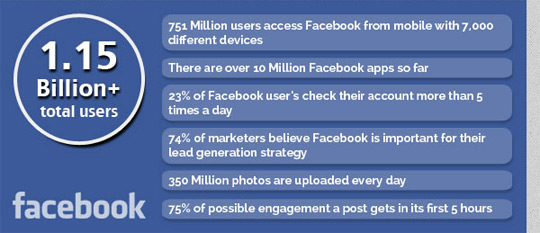 facebook-istatistik